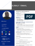 CV Coulibaly Ismail - 1