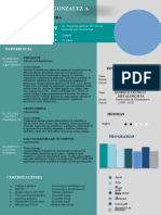 88 Curriculum Vitae Novedoso 03 Ultimo 2021