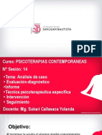 Tema N°14 - Elaboración de Casos - Upsjb