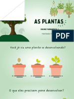 Slides Plantas Fundamental 1 - 8 Ano Fundamental 1