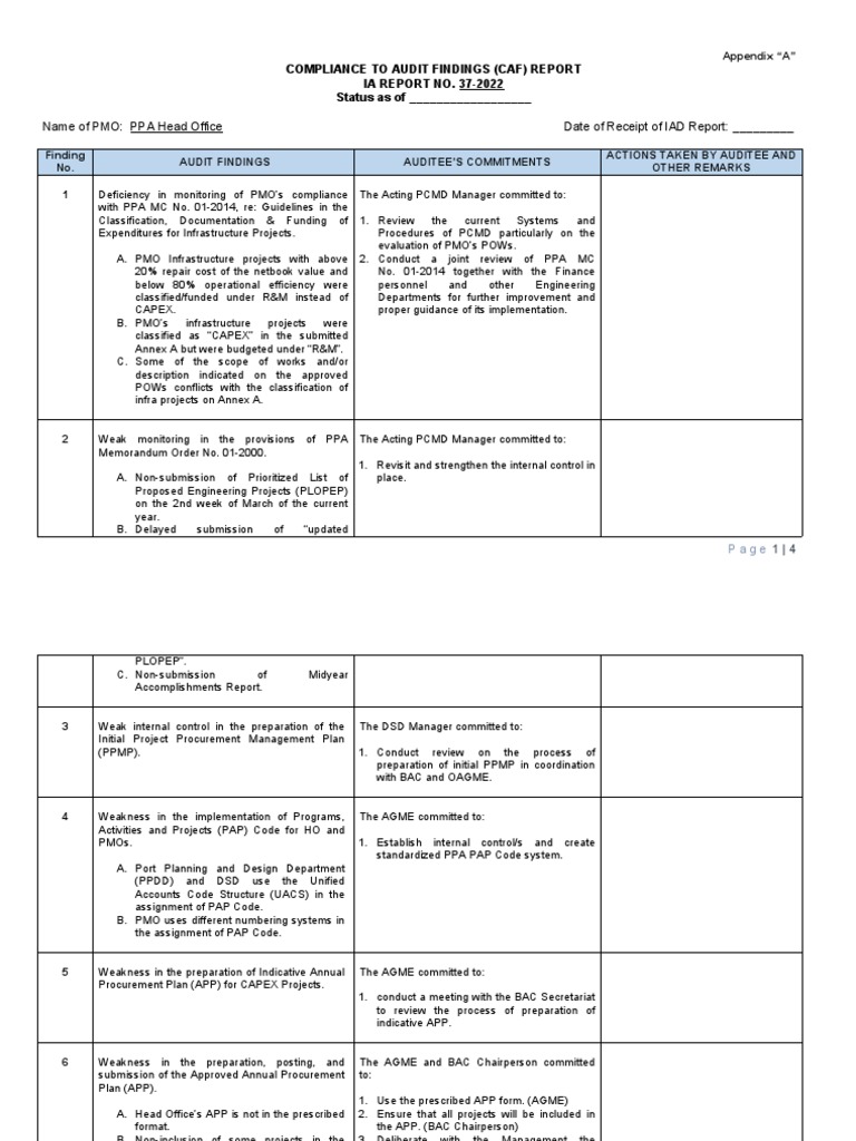 Caf Format | PDF | Audit | Business