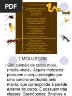 invertebrados-1205368067600323-2