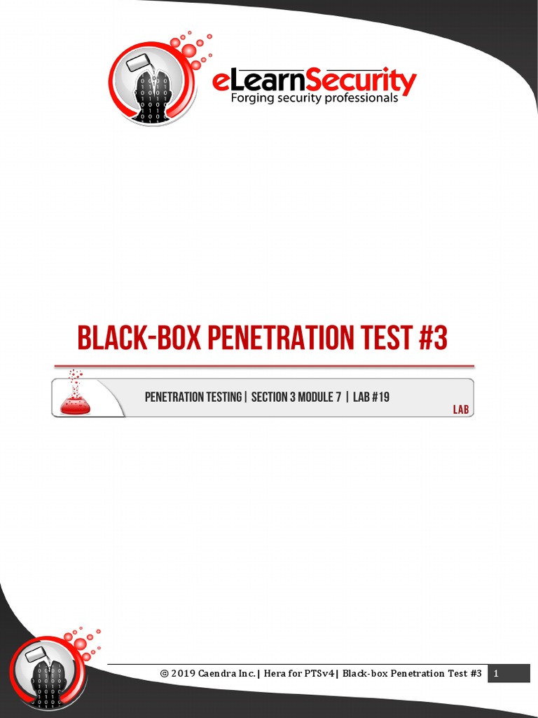 Black Box Penetration Test 3 Pdf
