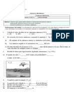 Prueba 7 ° Año B