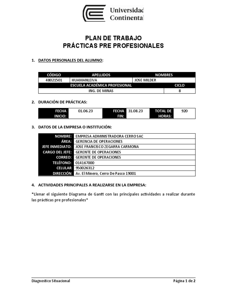 Formato Plan de Trabajo | PDF | Business