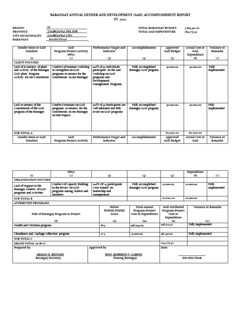 Barangay GAD Accomplishment Report 2021 | PDF