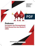 Revisi Buku Pencegahan Dan Penanggulangan Anemia Pada Rematri Dan WUS