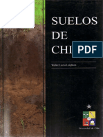 Luzio, W. 2010. Suelos de Chile