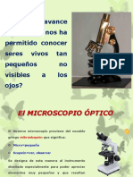 El - MICROSCOPIO ÓPTICO