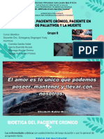 Bioética Del Paciente Crónico, Paciente en Cuidados Paliativos y La Muerte