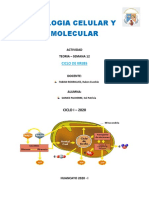 Activ. Biologia s12 - Teoria - Ckrebs