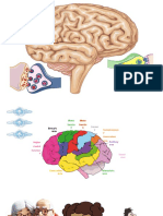 Epilepsias - Imágenes