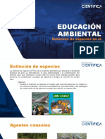 EDAM - Plantilla XEP-SEM8 (Parte 2)