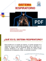 Sistema Respiratorio