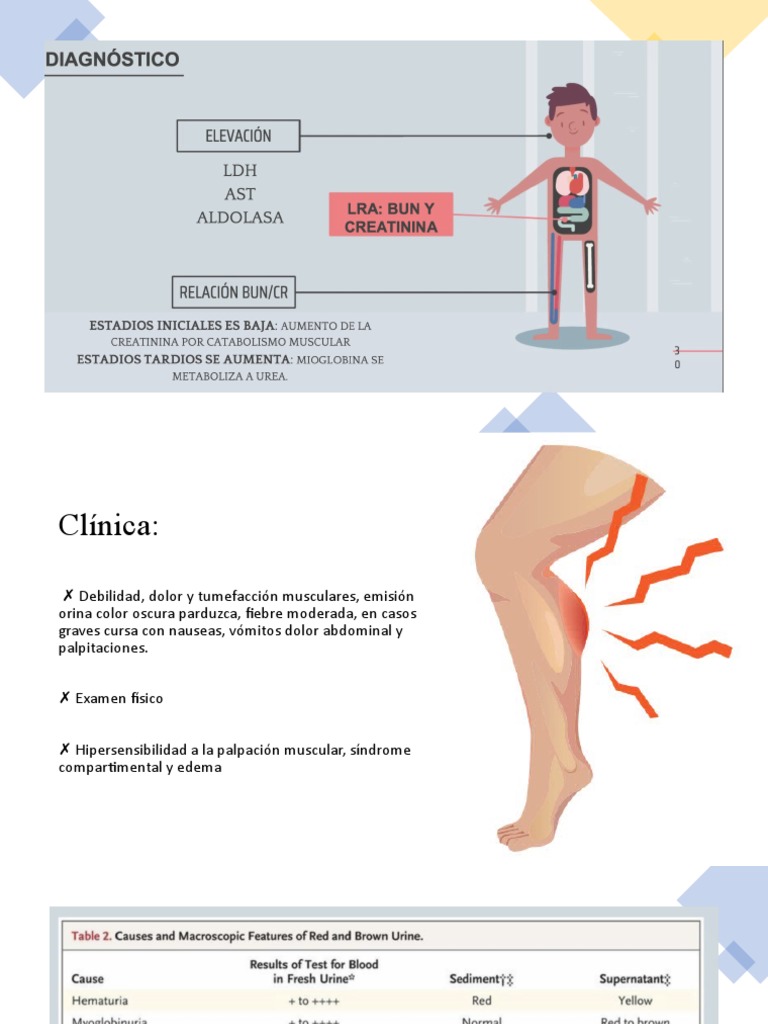 Rabdo | PDF | Especialidades Medicas | Medicina CLINICA