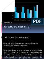 Muestreo Etapas Economia