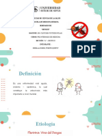 Seminario Pre-Internado Medicina - Dengue