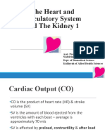 The Heart and Circulatory System and The Kidney 1