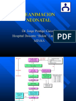 Clase II Reanimacion Neonatal