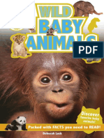 505181542189242wild Baby Animals - Karen Wallace