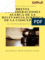 Análisis de La Concepción Jurídica