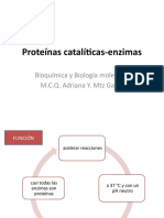 8. .Proteínas Catalíticas Enzimas