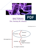 Bacterias I
