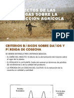 Efectos de Las Plagas Sobre La Producción Agrícola