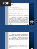 Download Historia de La Filigrana - PortalGuarani by Portal Guarani SN65125474 doc pdf