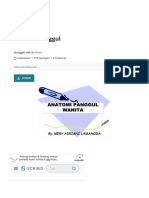 Anatomi Panggul  PDF