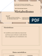 Sem Metabolismo E1.
