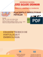 04-Placenta y Envolturas Fetales