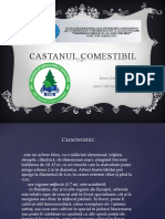 Castanul - Comestibil Ionel