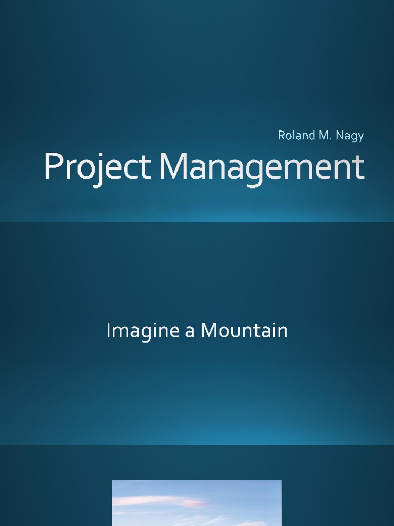 Project Management | PDF