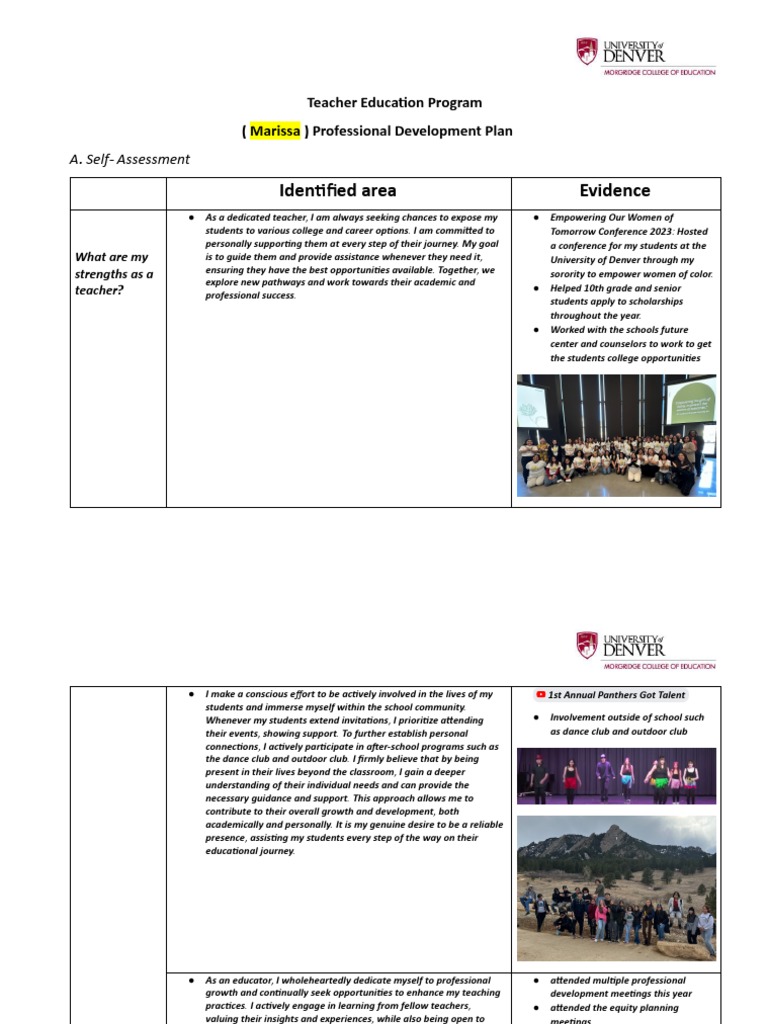 Professional Development Plan | PDF