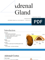 Lecture 15 - Adrenal Gland BNS KUM
