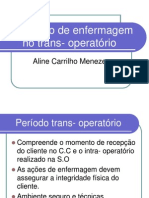 O Cuidado de Enfermagem No Trans Opera To Rio