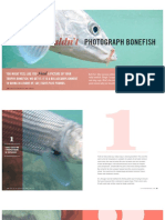 Fong Why You Shouldnt Photograph Bonefish