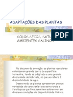 ADAPTAÇÕES DAS PLANTAS