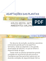 Adaptações Das Plantas