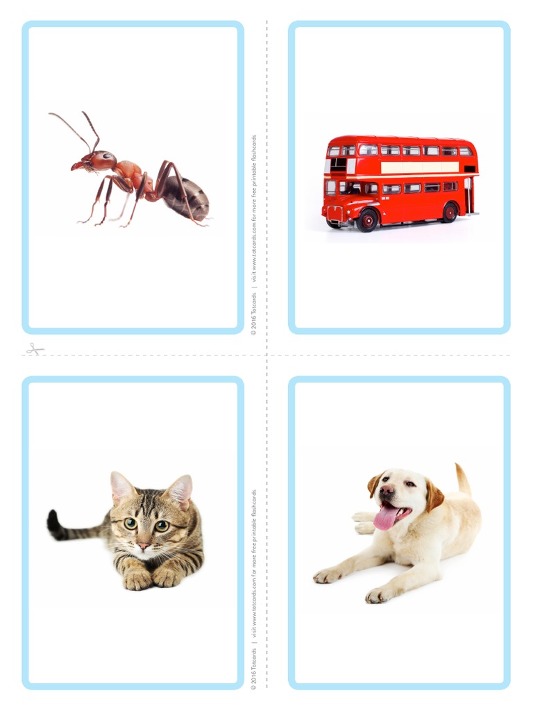 Free Alphabet Flashcards Pictures | PDF