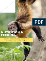 Nutrition and Feeding