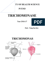 7 Trichomonas
