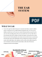 The Ear System