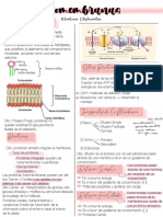 1 - Biomembranas