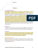 BNE - 8 Aula - Organização Geral Do Sistema Nervoso III