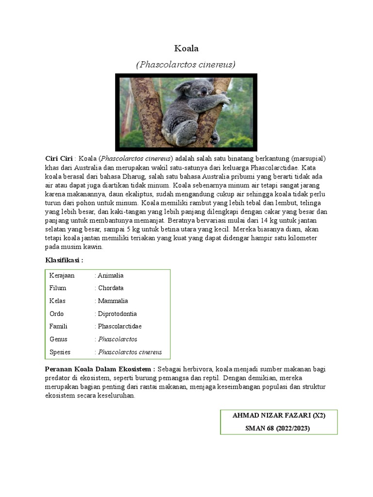 Koala Biologi | PDF