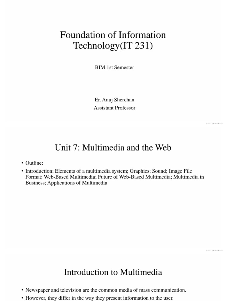 Unit 7 Multimedia and Web | PDF