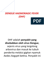 Dengue'haemoragic Fever