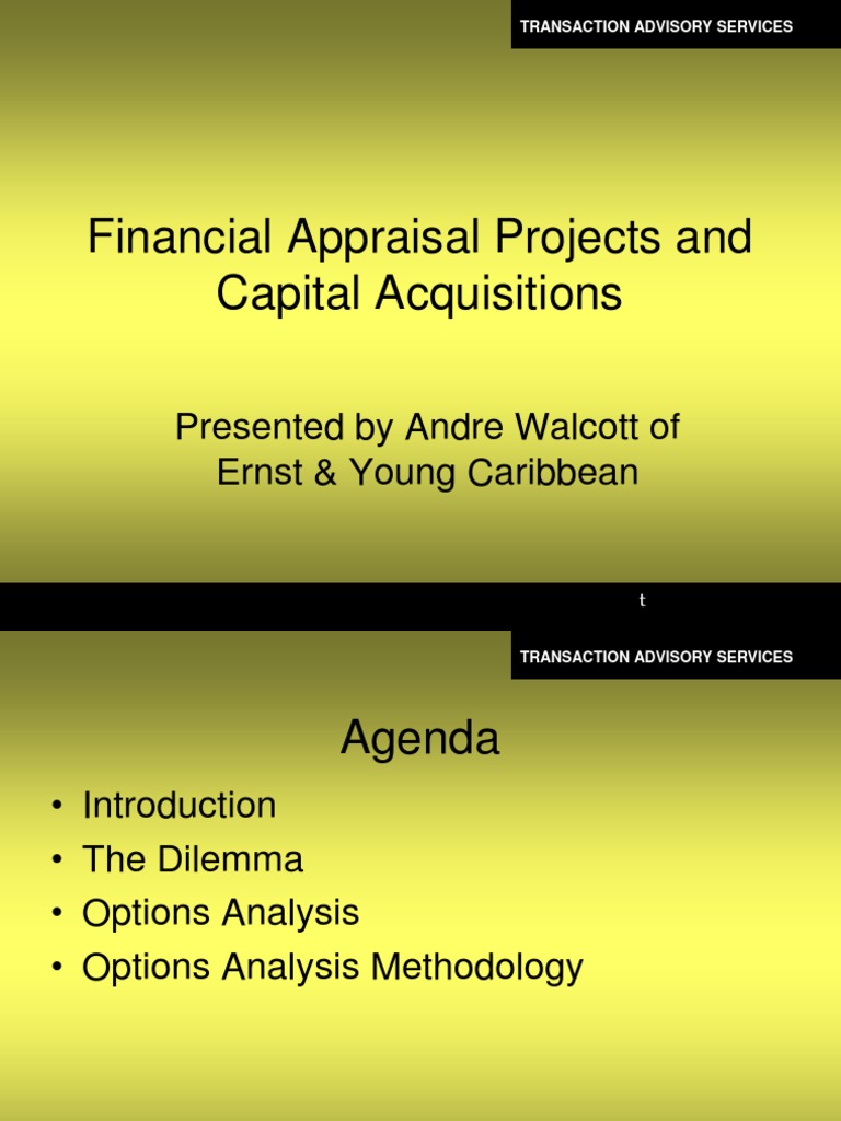 Financial Appraisal Projects Debt Investing